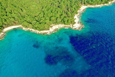 High angle view of sea shore