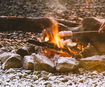 Close-up of bonfire on log