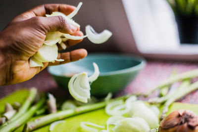 Close-up of hand holding onions 