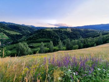 Scenic view of field by mountains against sky