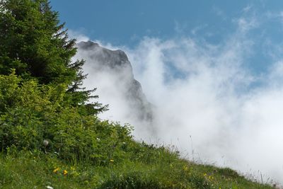 Scenic view of land against sky