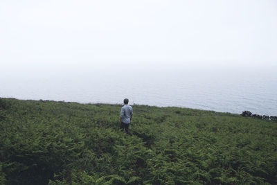 Rear view of man looking at sea against sky