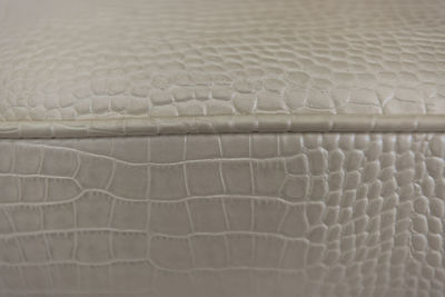 Full frame shot of an animal