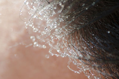 Close-up of wet beard