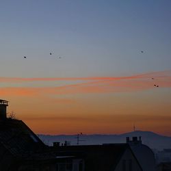 Silhouette birds flying against sky at sunset