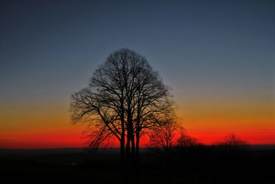 Silhouette bare tree on field against sky at sunset