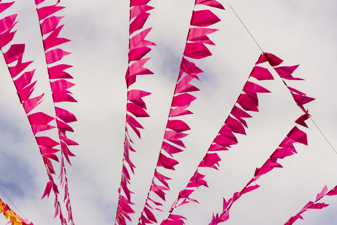 red, no people, sky, nature, flower, line, pink, celebration, low angle view, cloud, in a row, day, event, outdoors, leaf, hanging, tradition, environment, large group of objects