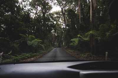 Road amidst trees seen through car windshield