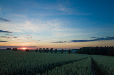 Scenic view of landscape against clear sky