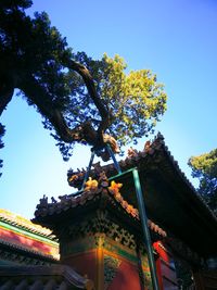 Low angle view of tree by building against sky