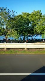 Close-up of car on road against trees