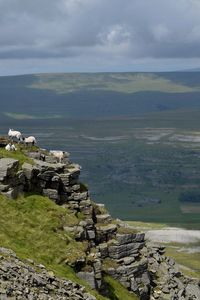 Distant view of sheep on rock formation against cloudy sky