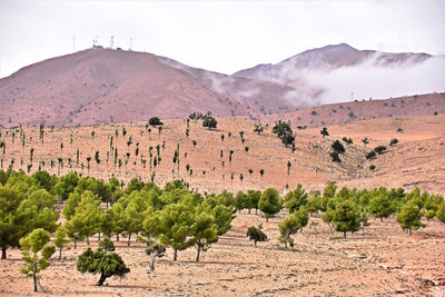 A village in the high atlas