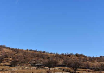 Scenic view of landscape against clear blue sky