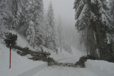 Scenic view of snow covered mountains