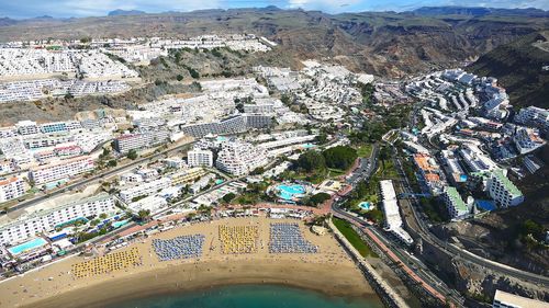 Close-up of tree against sky