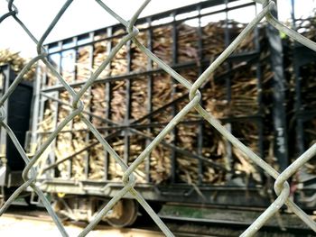 Close-up of chainlink fence