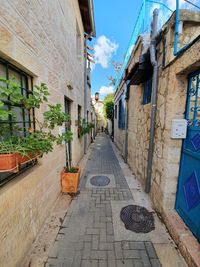 Narrow alley amidst houses in town