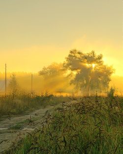 Scenic view of landscape at sunset