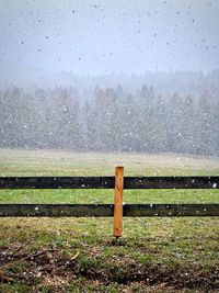 Wet field during rainy season