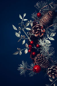 Close-up of christmas tree against black background