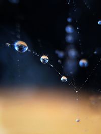 Close-up of water drops on spider thread