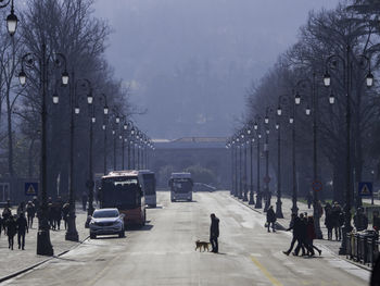 People walking on road in city