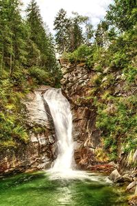 View of waterfall in forest