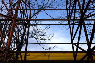 Low angle view of bare tree against sky