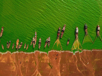 High angle view of plants growing on wall