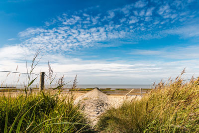 Scenic view of beach against sky