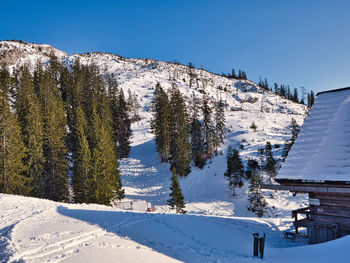 Snow covered land and trees against sky