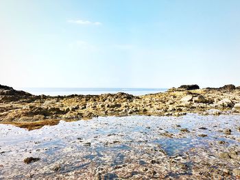 Scenic view of sea against clear sky