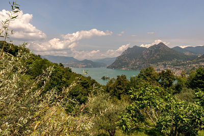 Scenic view of plants and mountains against sky