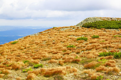 Scenic view of land against sky