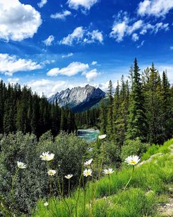 Scenic view of calm sea against blue sky