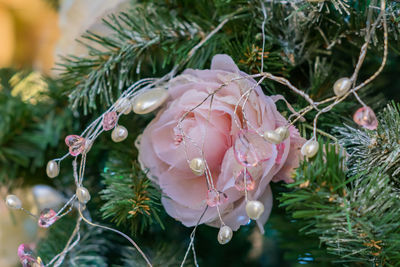 Close up of christmas tree decorated with tender pink flower.