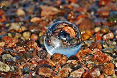 Close-up of crystal ball on rock