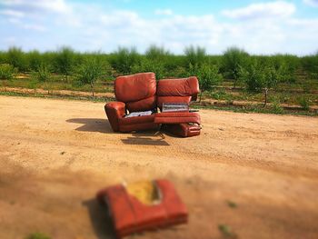 Scenic view of rural landscape