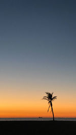 Silhouette palm trees on beach against sky during sunset