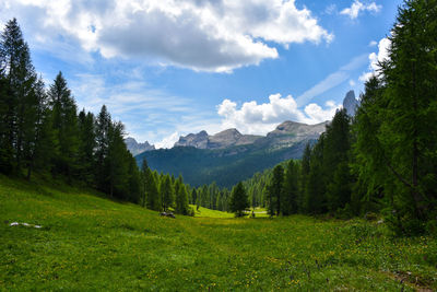Panoramic view of landscape against sky