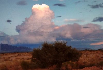 cloud