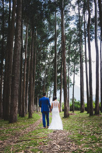 Rear view of couple walking amidst trees in forest