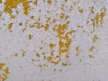 Close-up of weathered wall