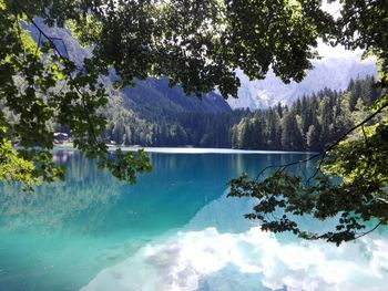 Scenic view of lake by trees against sky