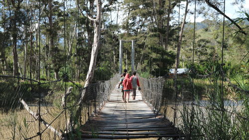 Rear view of women walking on footbridge in forest