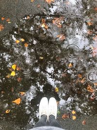 Low section of person standing on leaves during rainy season