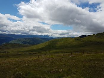 Scenic view of field against sky
