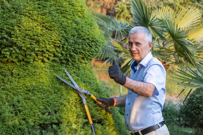 Mature gardener using scissors for trimming the branches. concept of garden decoration