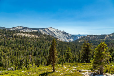 Yosemite valley against clear sky